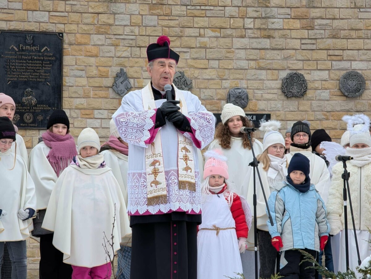 6669591c-c2a9-44cd-99f5-5bb194dee6b3